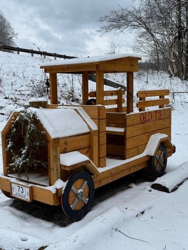 "Old 73" in the Snow at the Townsend River Walk & Arboretum
