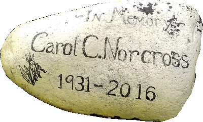 Ann Carol C. Norcross - Townsend River Walk & Arboretum