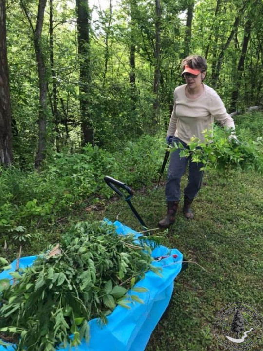 59138339 10156297569716732 5283145228205686784 n