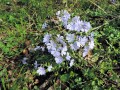 spring4