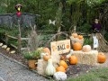 2021 trwa fall display 1