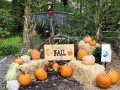 2021 trwa fall display 2