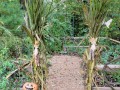 2021 trwa fall display garden entrance