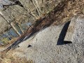 20211216oldsteps1