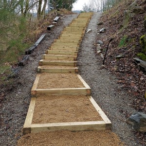 Completed steps from the bottom.  The graceful curve in the steps was hand eyed by Rodney and Mark. Turned out great.