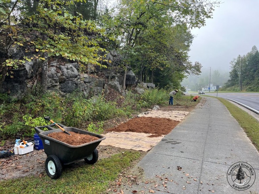Preparation took several weeks of removing the existing vegetation then laying down burlap with a nice layer of hardwood mulch.