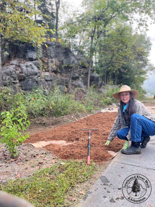 Erica finishing the initial preparation of the garden.