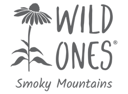 Wild Ones Smoky Mountain Chapter