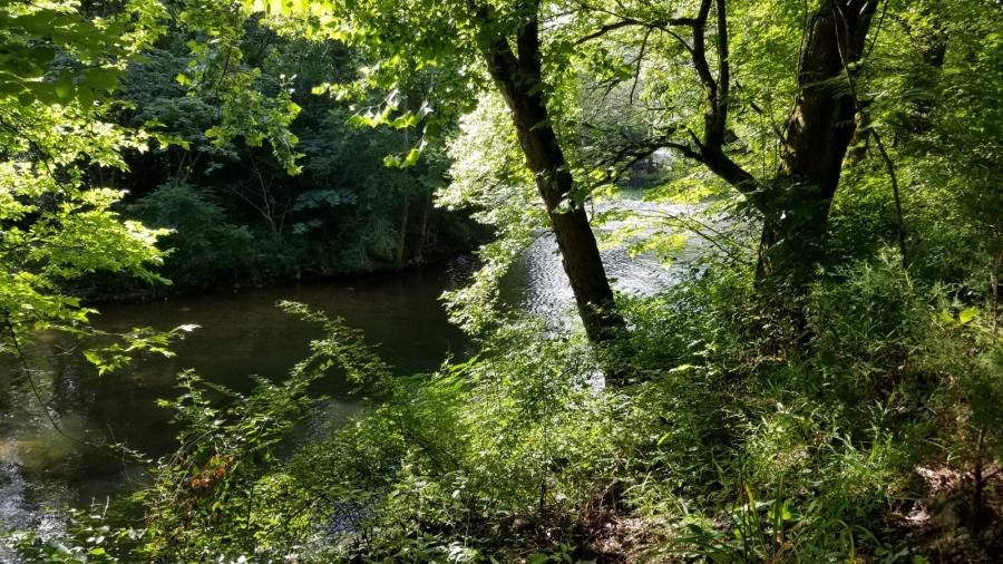 river view