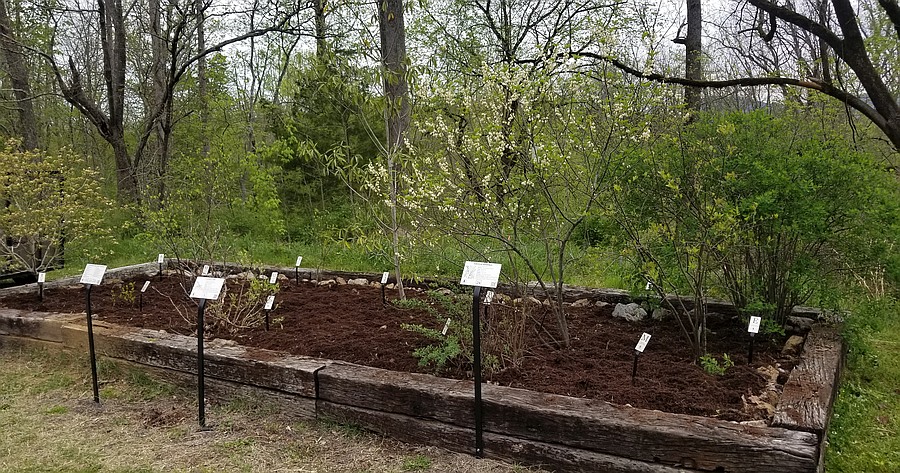 Roadside Specimen Garden