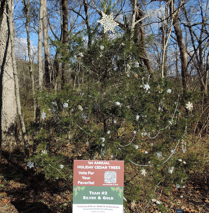 Inaugural Holiday Cedar Tree Decorating at the Townsend RIver Walk & Arboretum