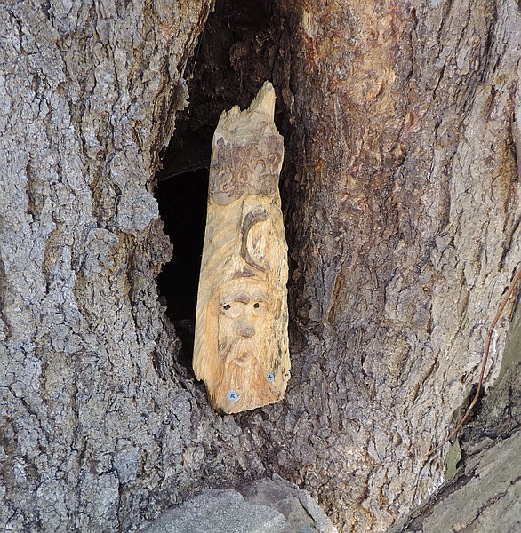            Wood Elves can be found hiding in tree trunks if you look hard enough.