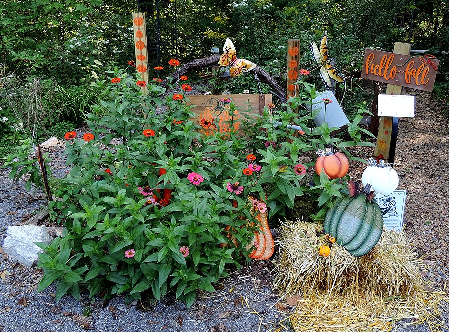 Fall Display at the Townsend River Walk & Arboretum