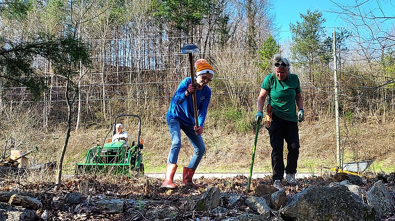 Clearing and preparing the area for the Robert "Bob" & Elaine Russell Gregory Bald Azalea Garden