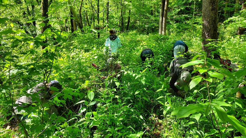 Cornelius Showing Students Proper Techniques of Invasive Removal