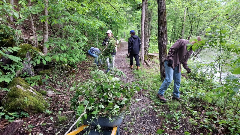 Invasive Removal with Ohio State Students at the TRWA