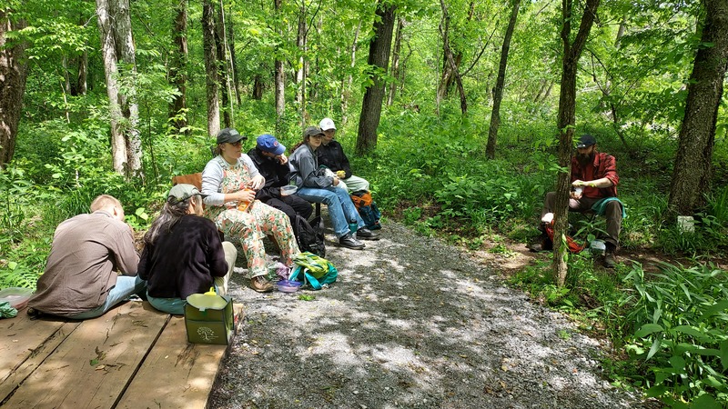 Invasive Removal with Ohio State Students at the TRWA