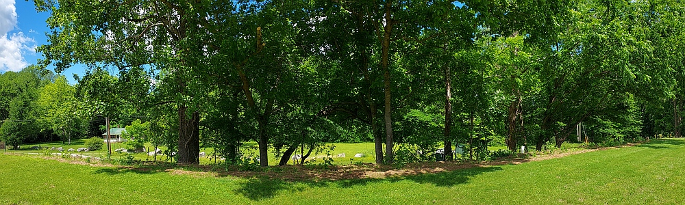 This area is our Demonstration Pollinator Garden.  It is currently a 4' x about 75' strip that has been planted with a variety of pollinator attracting plants.  Eventually the entire area will be a pollinator garden.