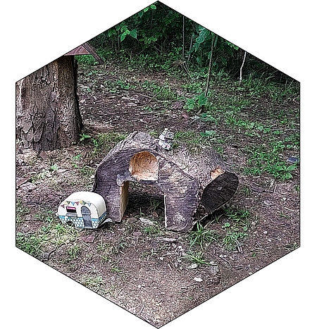 Latest addition to the Faerie Garden In the Children's Discovery Garden.