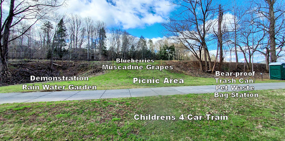 Picnic Area and Demonstration Rainwater Garden Original Plan