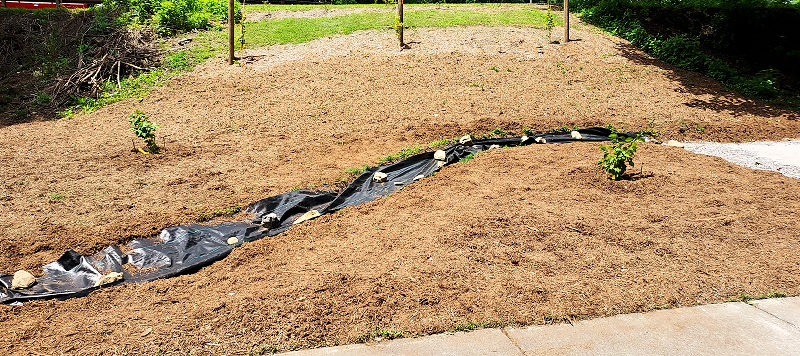 The Dry Creek Bed Covered With Geo Cell