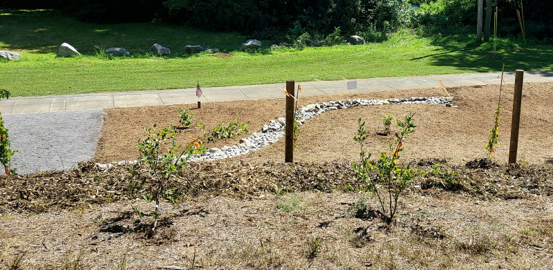 Dry Creek Bed Filled