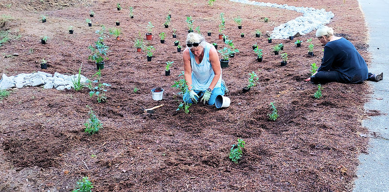 The Demonstration Rainwater Garden Being Planted