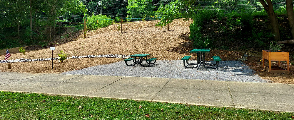 A Look at the South Side of the  Picnic Area 