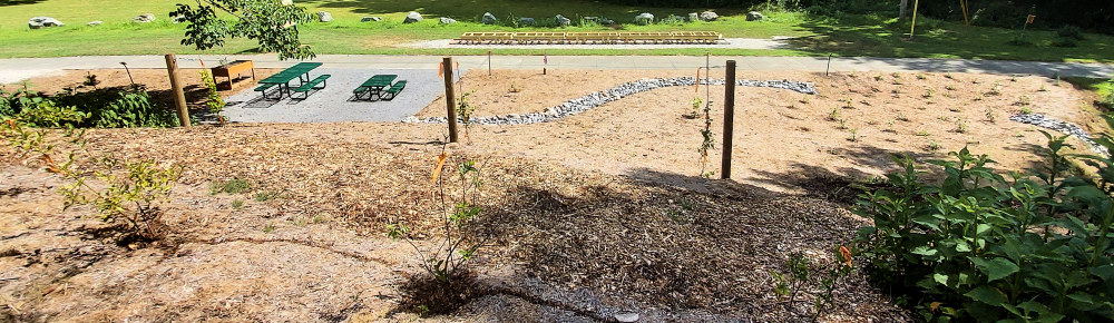View of the Picnic Area - Demonstration Rainwater Garden - Townsend Express from Above