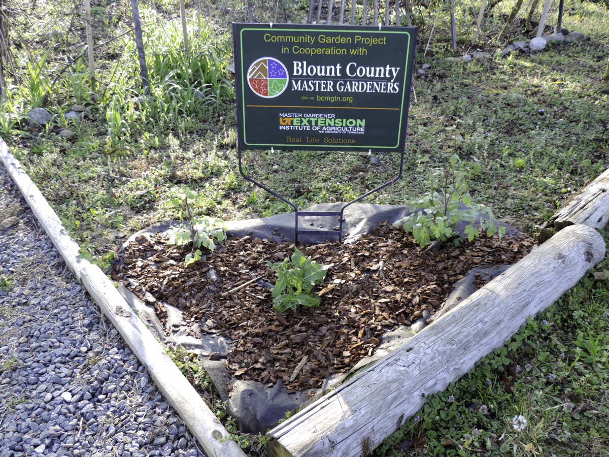 Blount County Master Gardeners