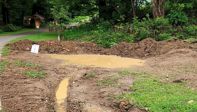 Bowl Created for the Rainwater Garden.  A berm was created at the one end with an overflow spillway the drains into the existing drain from the highway.