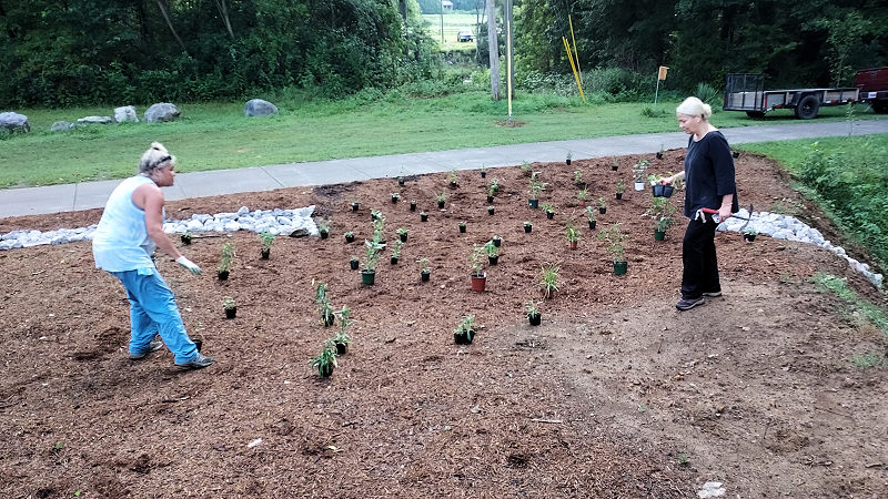 Raingarden Plants Laid Out and Ready to Plant!