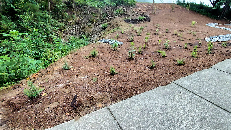 Picnic Area/Rainwater Garden Story Part 3 -  Rainwater Garden Completed