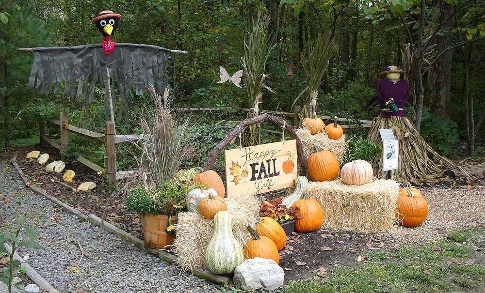2021 TRWA Fall Garden Display is Dazzling.  Thanks Tuckaleechee Garden Club and in particular: Theresa & Scott Schehr and Allison & Rodney Pearson.  A Crowning Achievement for 2021!
